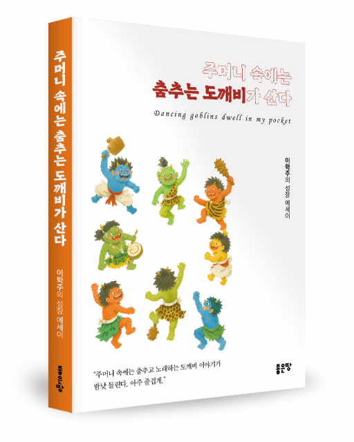 주머니 속에는 춤추는 도깨비가 산다 표지