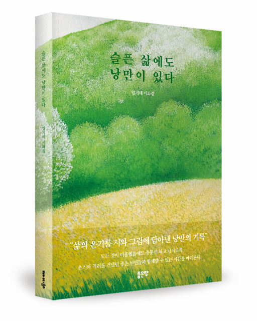 슬픈 삶에도 낭만이 있다 표지
