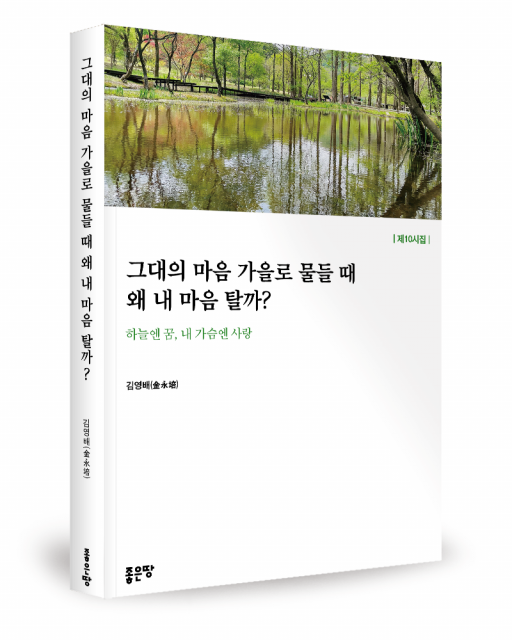 그대의 마음 가을로 물들 때 왜 내 마음 탈까? - 하늘엔 꿈, 내 가슴엔 사랑 표지